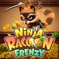 Ninja Raccoon Frenzy